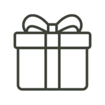 present icon