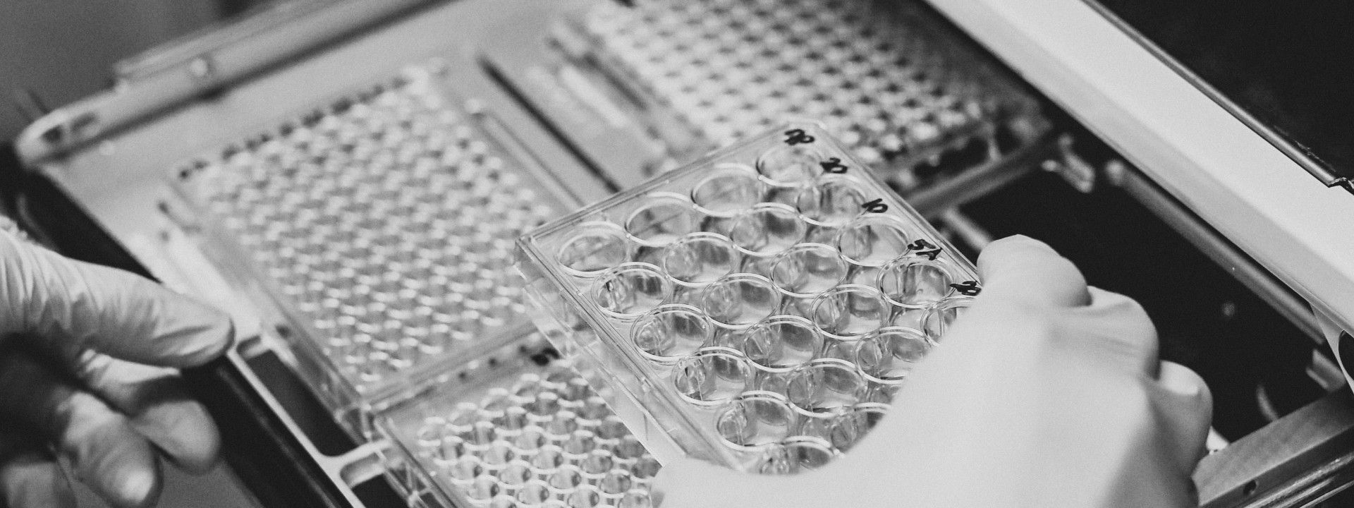 Cancer Research