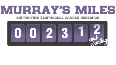 Murray's Miles Logo