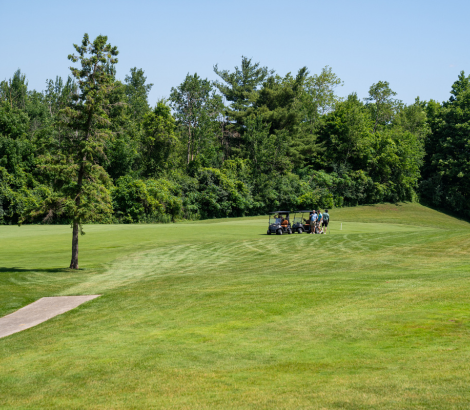 golf course 