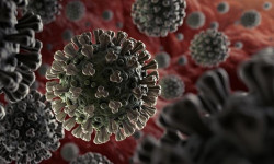Coronavirus