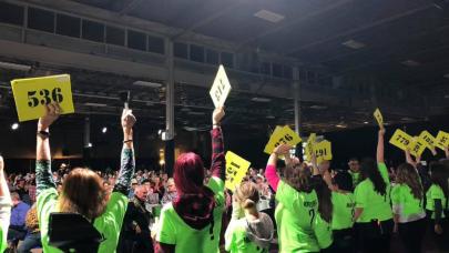 Country Classic Auction