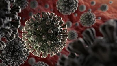 Coronavirus