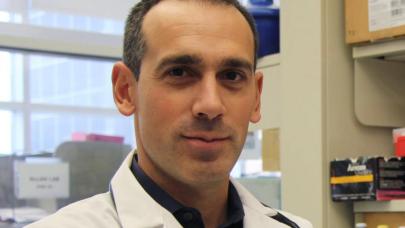 Dr. David Palma